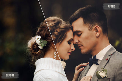 The Majestic Wedding LUTs Collection  - 1000+ Presets - Artixty