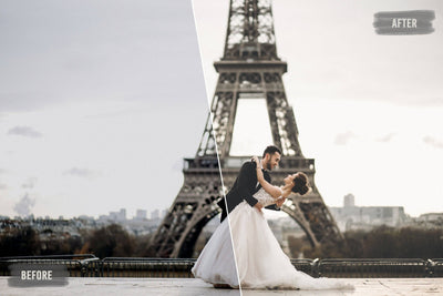 The Majestic Wedding LUTs Collection  - 1000+ Presets - Artixty