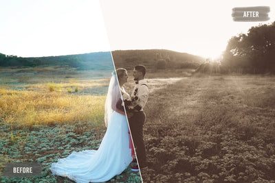 The Majestic Wedding LUTs Collection  - 1000+ Presets - Artixty