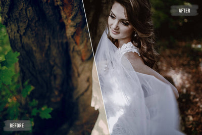 The Majestic Wedding LUTs Collection  - 1000+ Presets - Artixty