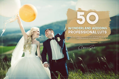 The Majestic Wedding LUTs Collection  - 1000+ Presets - Artixty