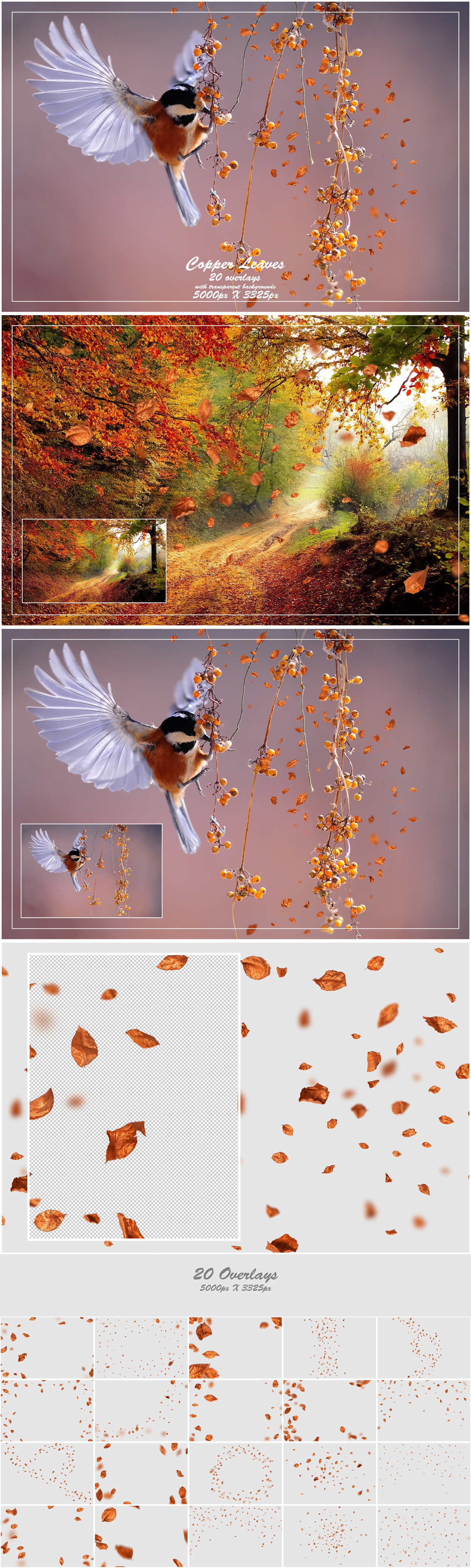 1000+ Petals and Leaves Overlays Bundle - Artixty