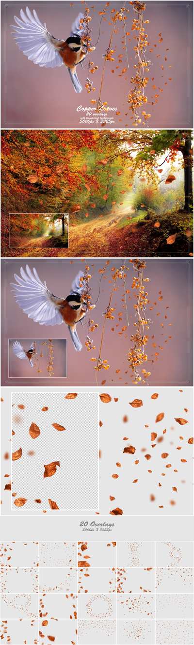 1000+ Petals and Leaves Overlays Bundle - Artixty