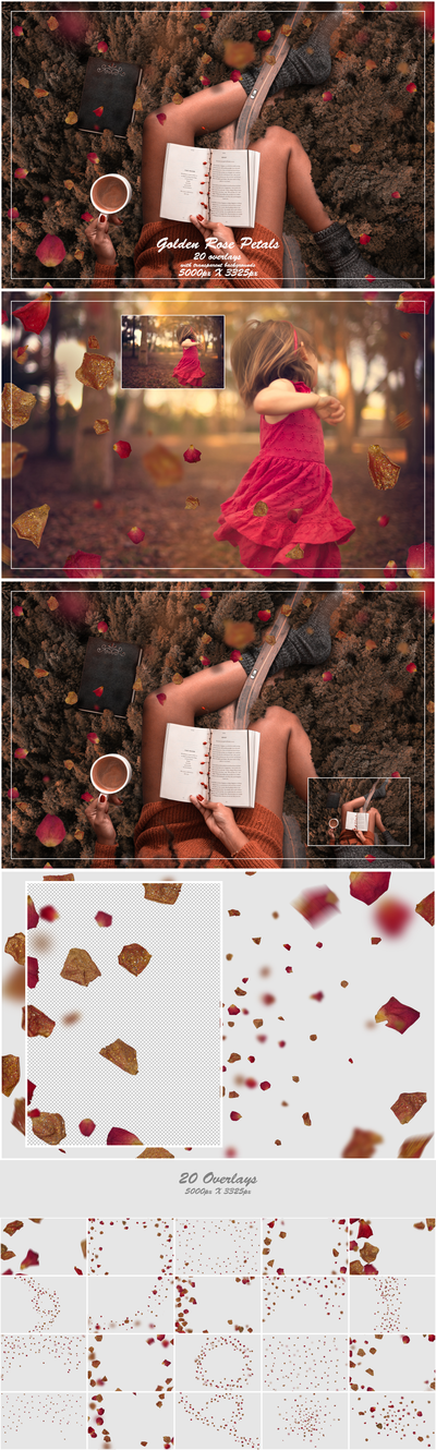 1000+ Petals and Leaves Overlays Bundle - Artixty