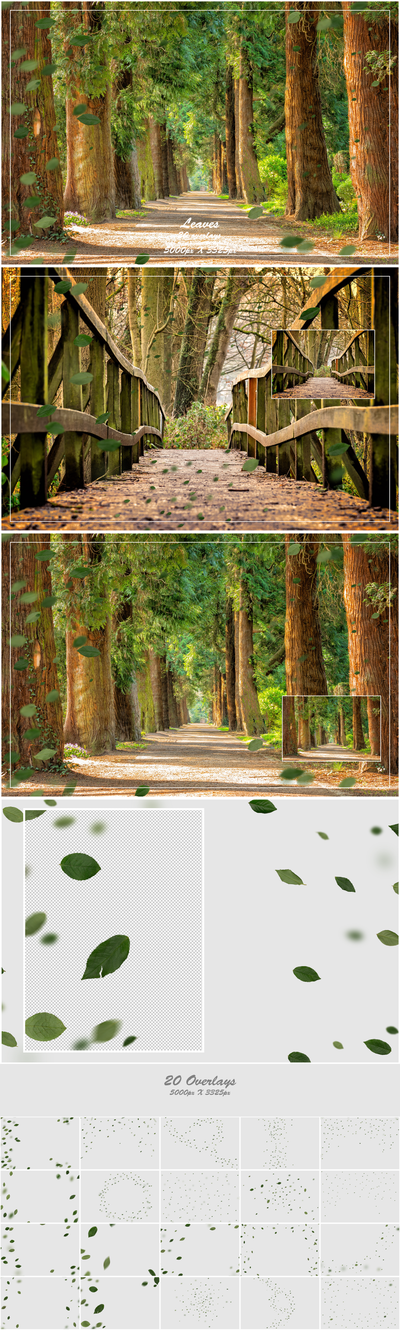 1000+ Petals and Leaves Overlays Bundle - Artixty