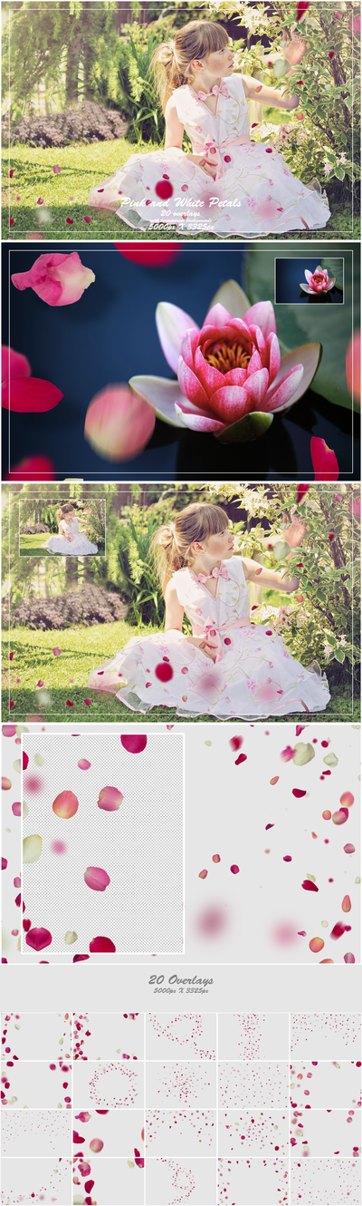 1000+ Petals and Leaves Overlays Bundle - Artixty