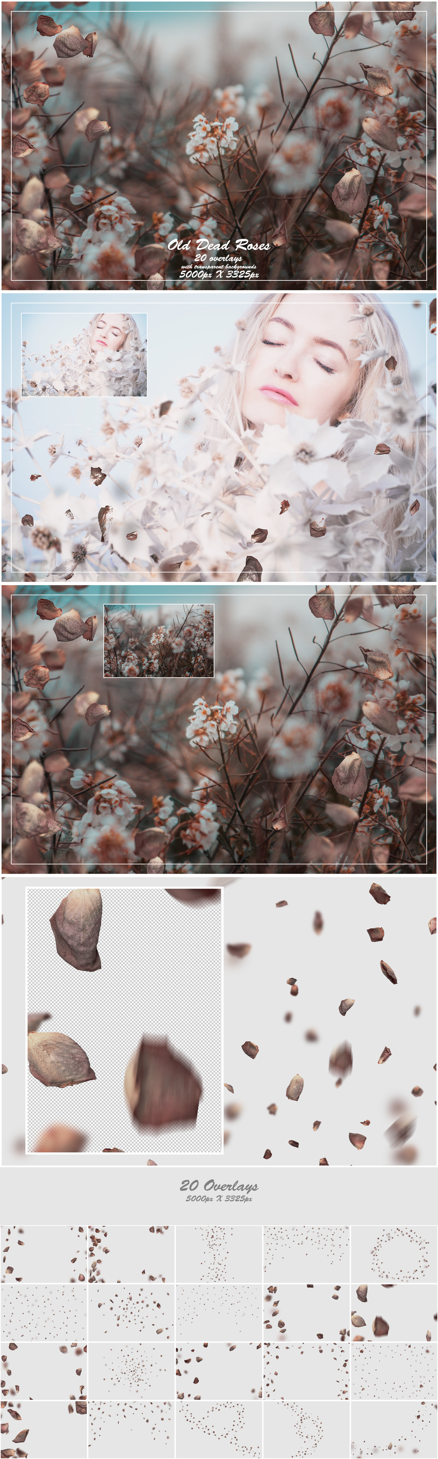 1000+ Petals and Leaves Overlays Bundle - Artixty