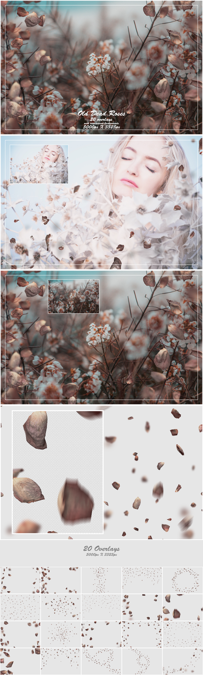 1000+ Petals and Leaves Overlays Bundle - Artixty
