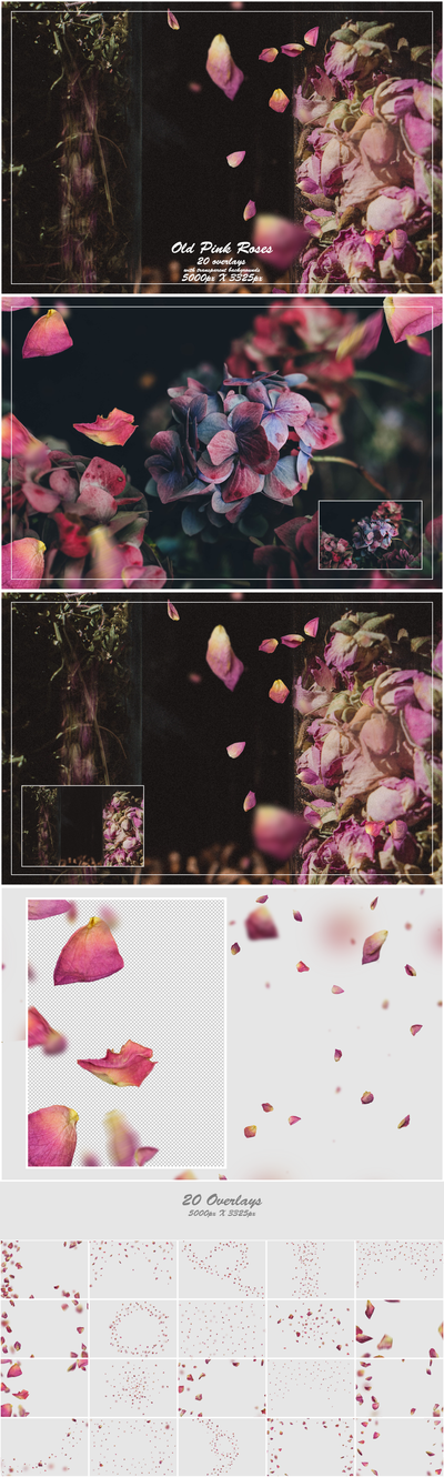 1000+ Petals and Leaves Overlays Bundle - Artixty
