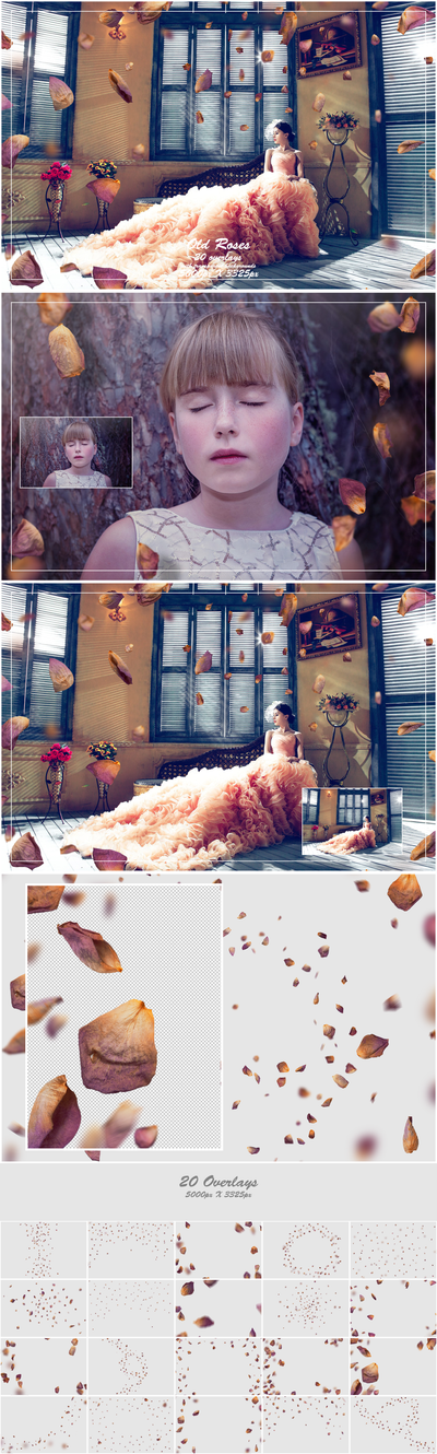 1000+ Petals and Leaves Overlays Bundle - Artixty