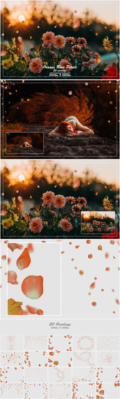 1000+ Petals and Leaves Overlays Bundle - Artixty