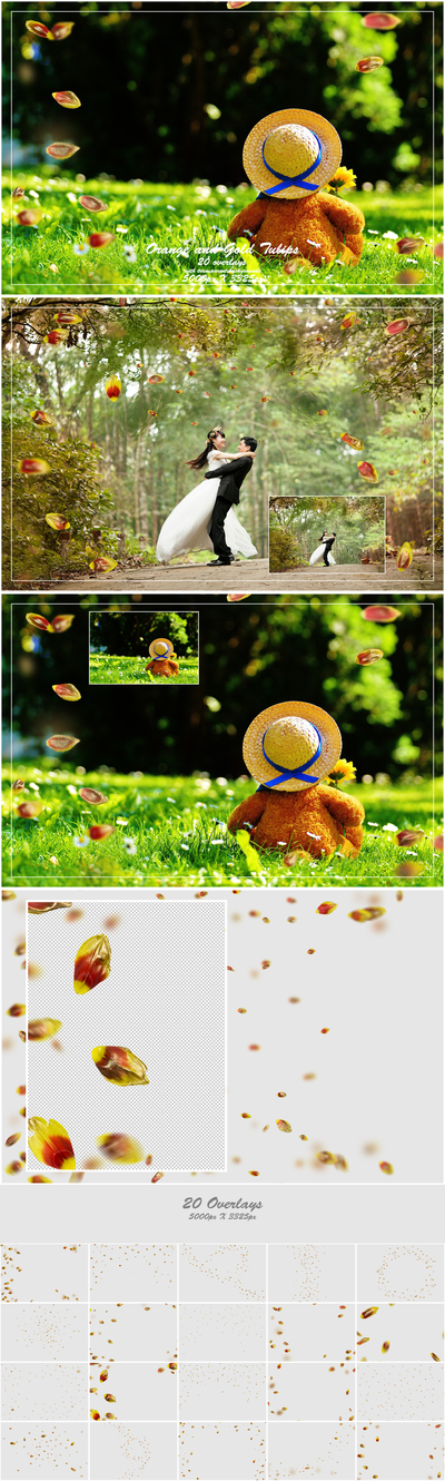 1000+ Petals and Leaves Overlays Bundle - Artixty