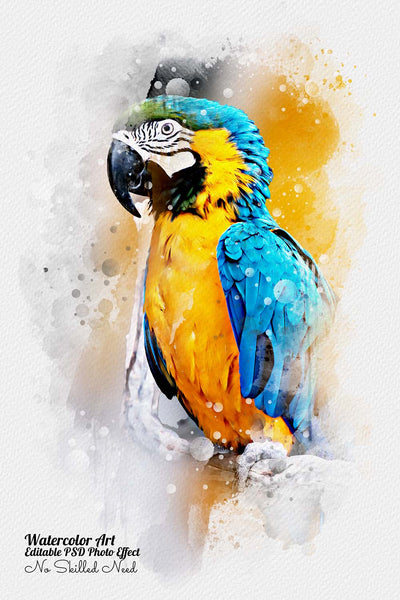 32 Various Photo Effects Bundle - Artixty