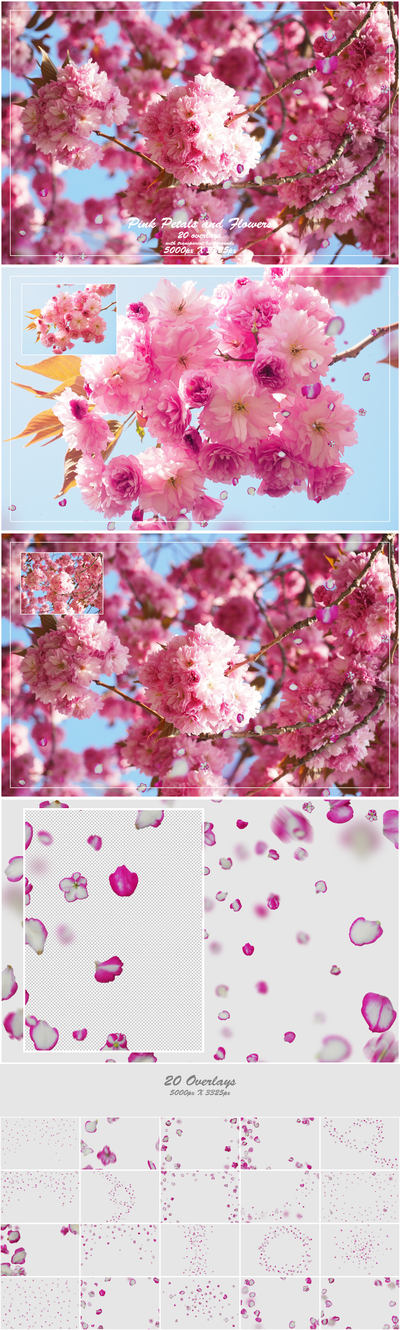 1000+ Petals and Leaves Overlays Bundle - Artixty