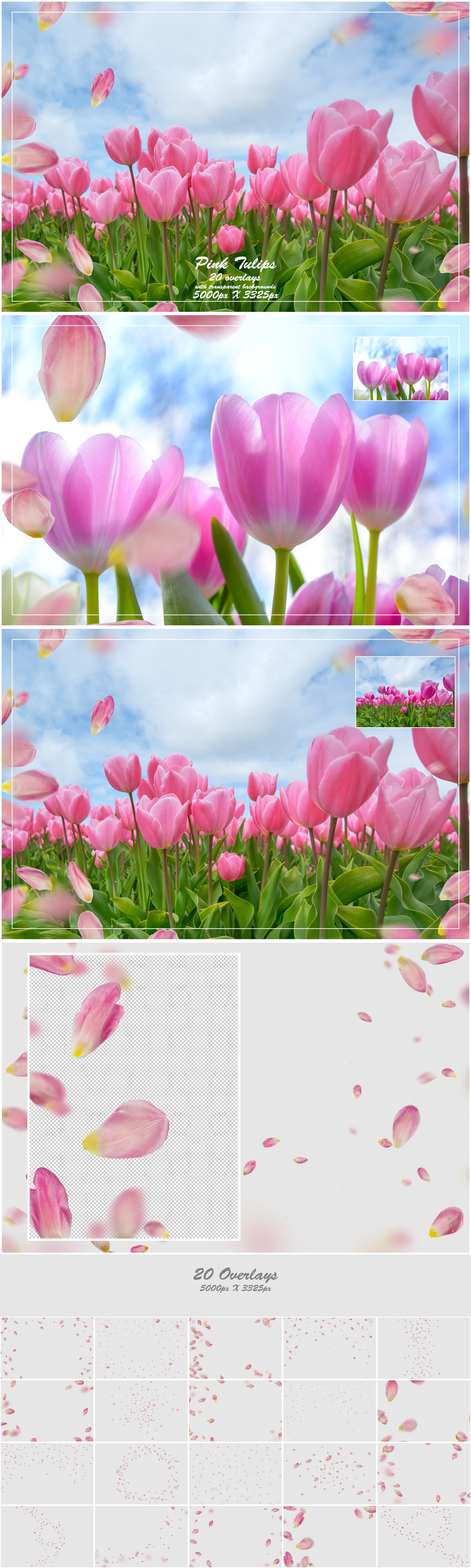 1000+ Petals and Leaves Overlays Bundle - Artixty