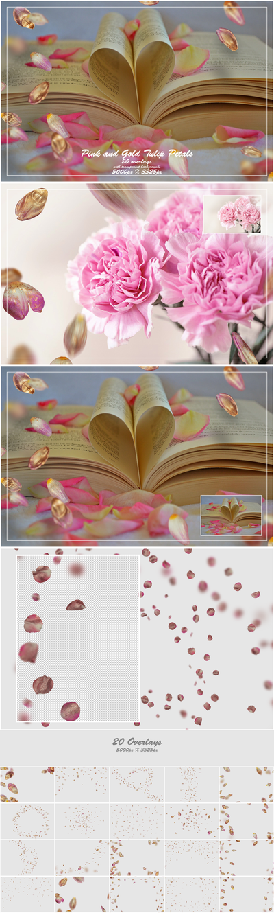 1000+ Petals and Leaves Overlays Bundle - Artixty