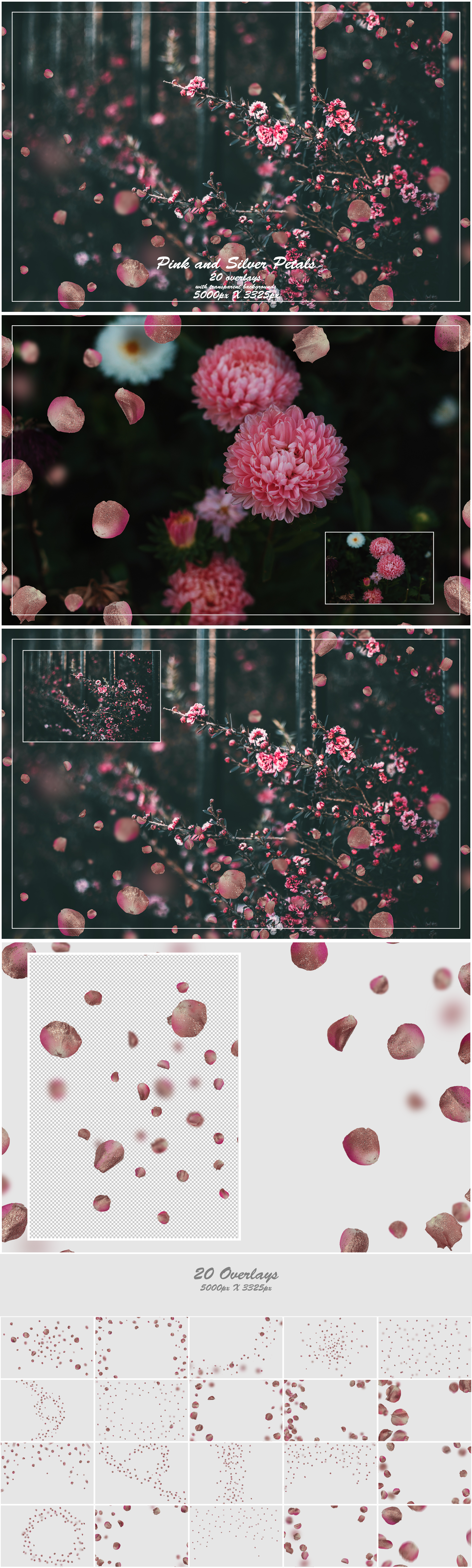 1000+ Petals and Leaves Overlays Bundle - Artixty