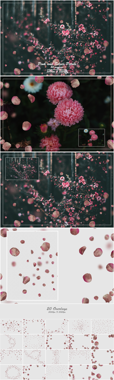 1000+ Petals and Leaves Overlays Bundle - Artixty
