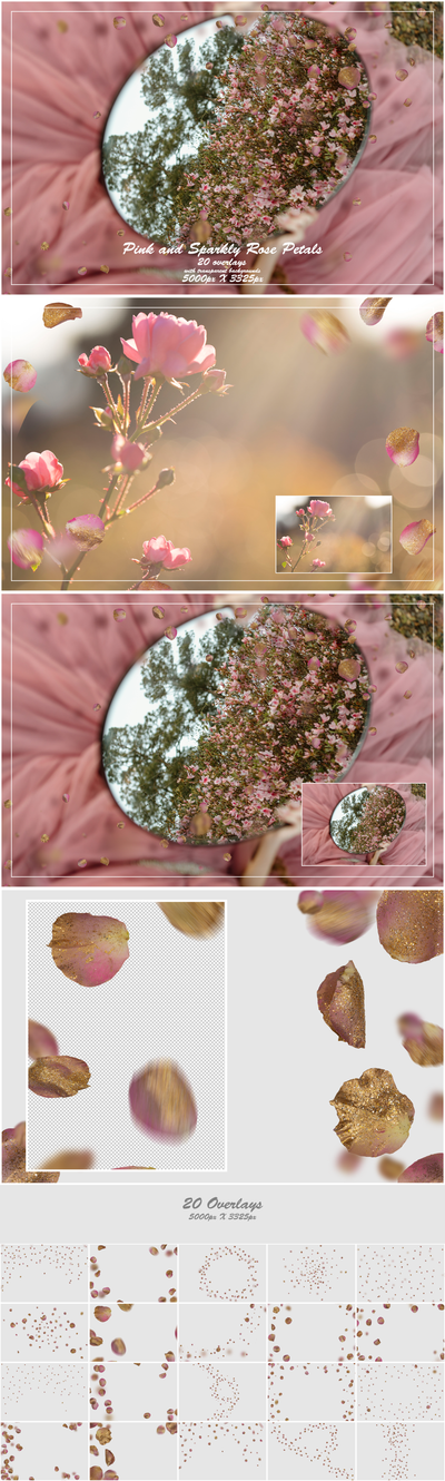 1000+ Petals and Leaves Overlays Bundle - Artixty