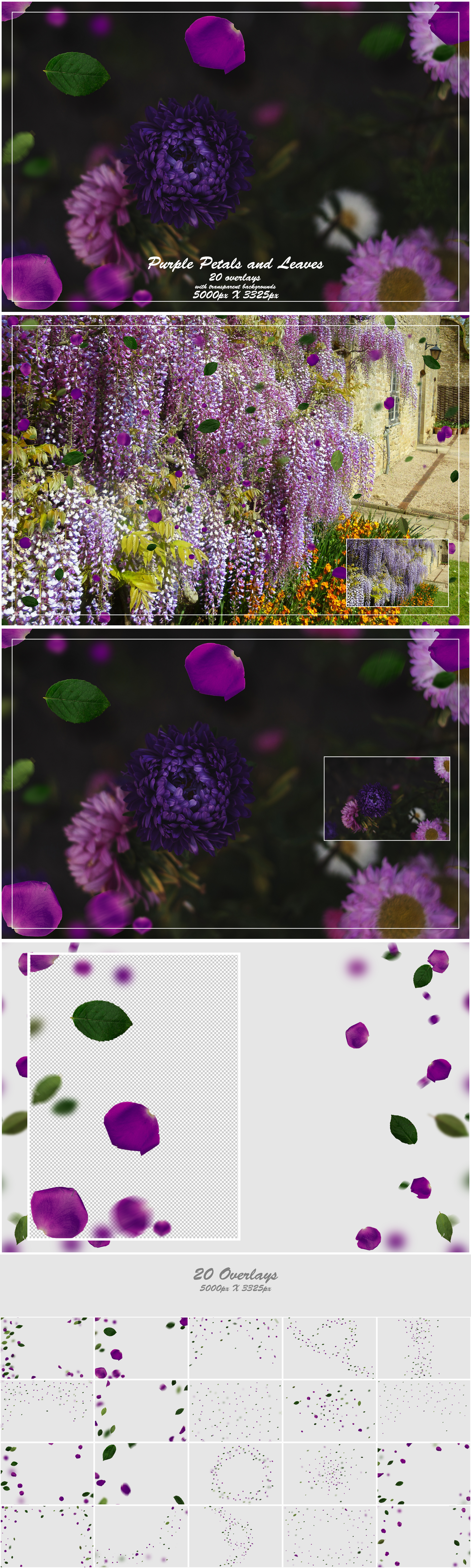 1000+ Petals and Leaves Overlays Bundle - Artixty