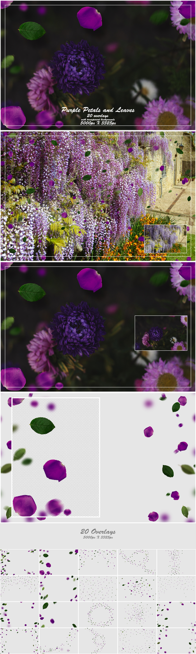 1000+ Petals and Leaves Overlays Bundle - Artixty