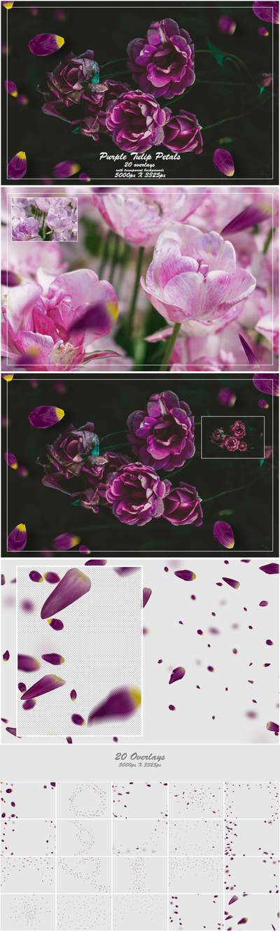 1000+ Petals and Leaves Overlays Bundle - Artixty