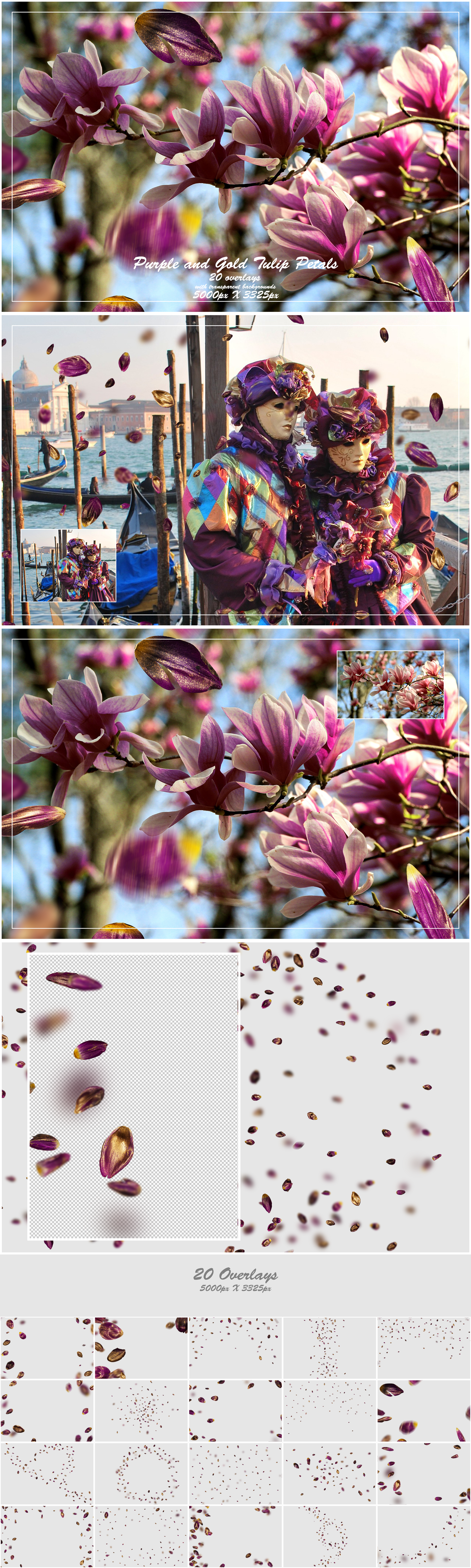 1000+ Petals and Leaves Overlays Bundle - Artixty