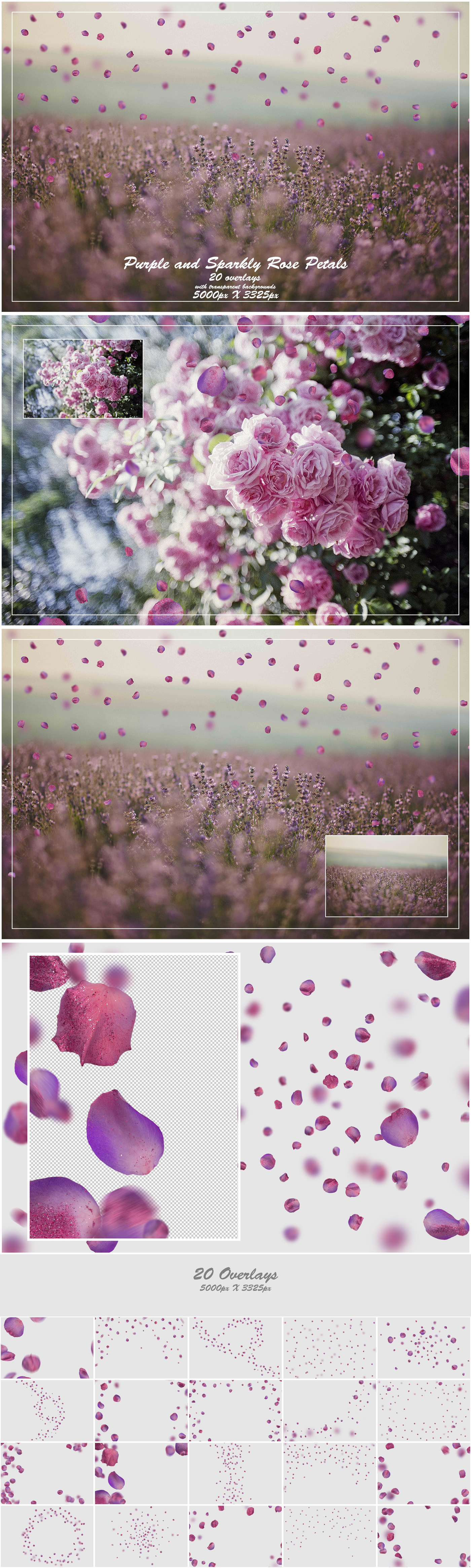 1000+ Petals and Leaves Overlays Bundle - Artixty