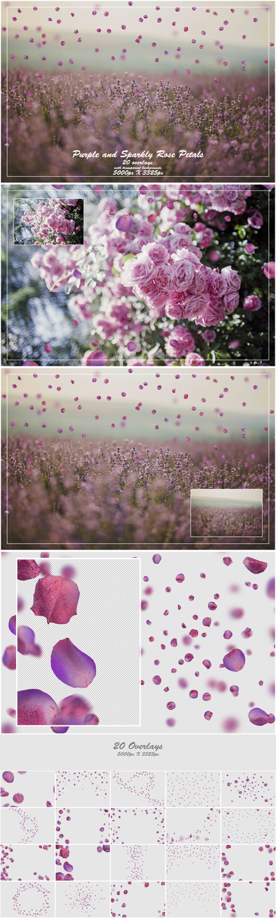 1000+ Petals and Leaves Overlays Bundle - Artixty