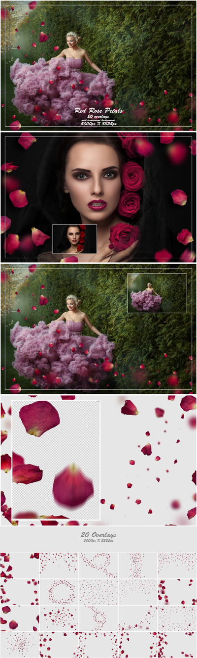 1000+ Petals and Leaves Overlays Bundle - Artixty