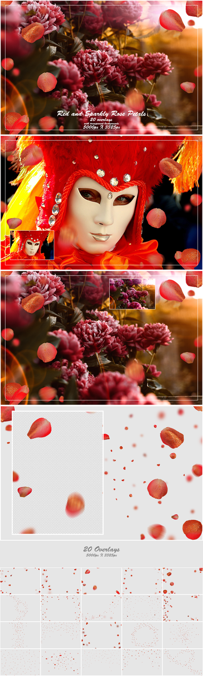 1000+ Petals and Leaves Overlays Bundle - Artixty