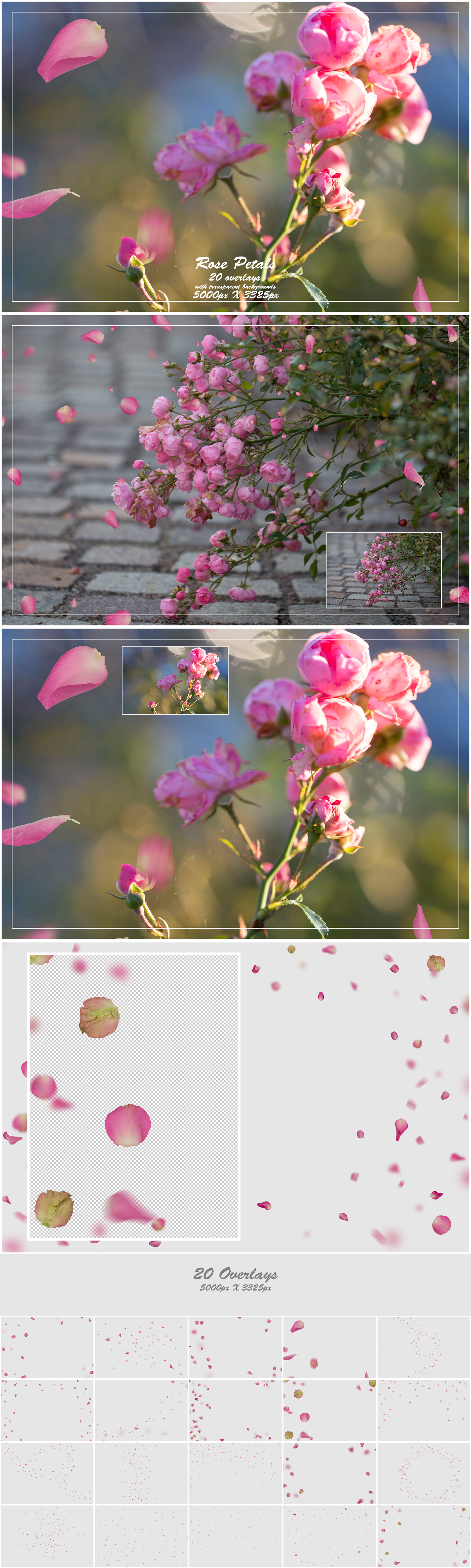 1000+ Petals and Leaves Overlays Bundle - Artixty