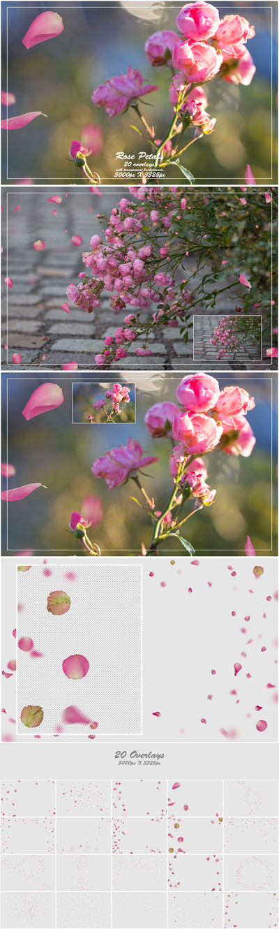 1000+ Petals and Leaves Overlays Bundle - Artixty
