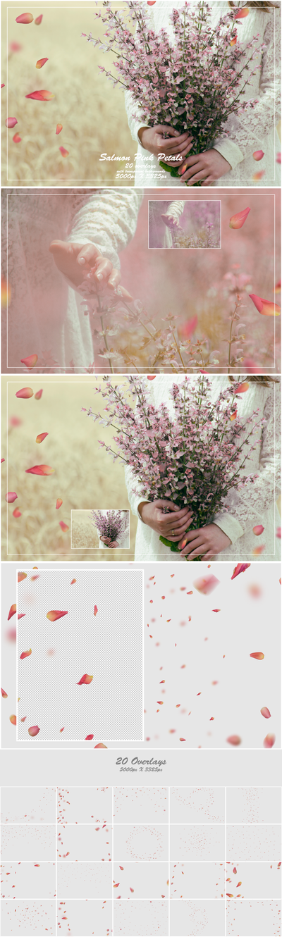 1000+ Petals and Leaves Overlays Bundle - Artixty