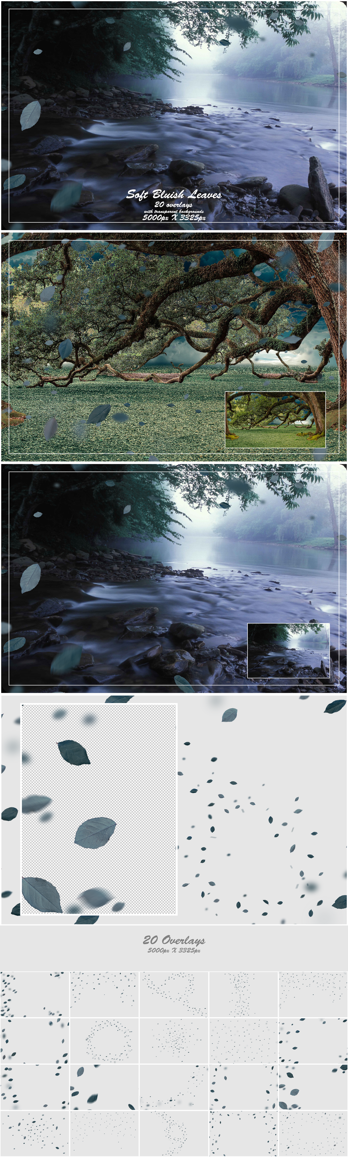 1000+ Petals and Leaves Overlays Bundle - Artixty
