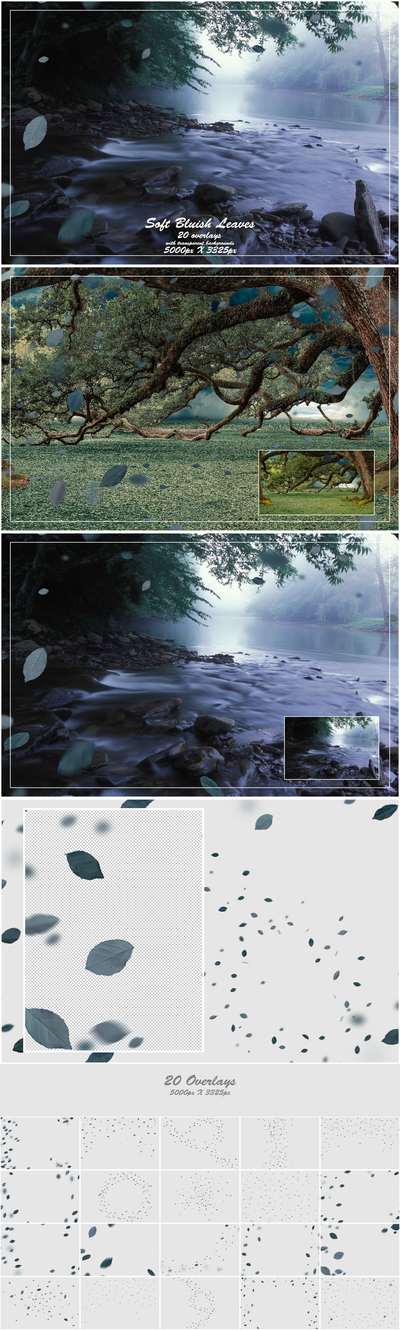 1000+ Petals and Leaves Overlays Bundle - Artixty