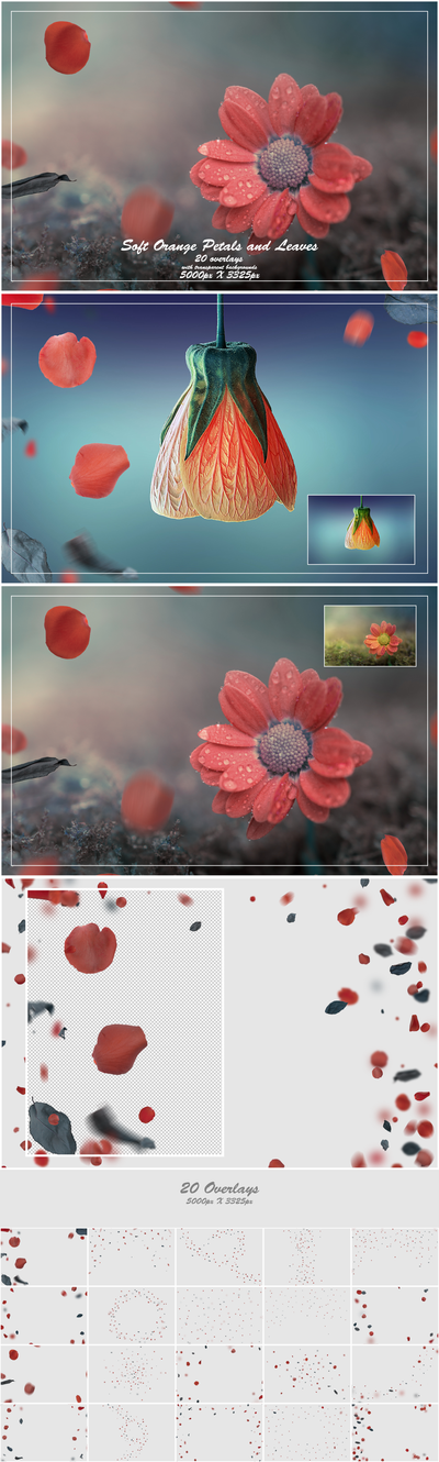 1000+ Petals and Leaves Overlays Bundle - Artixty