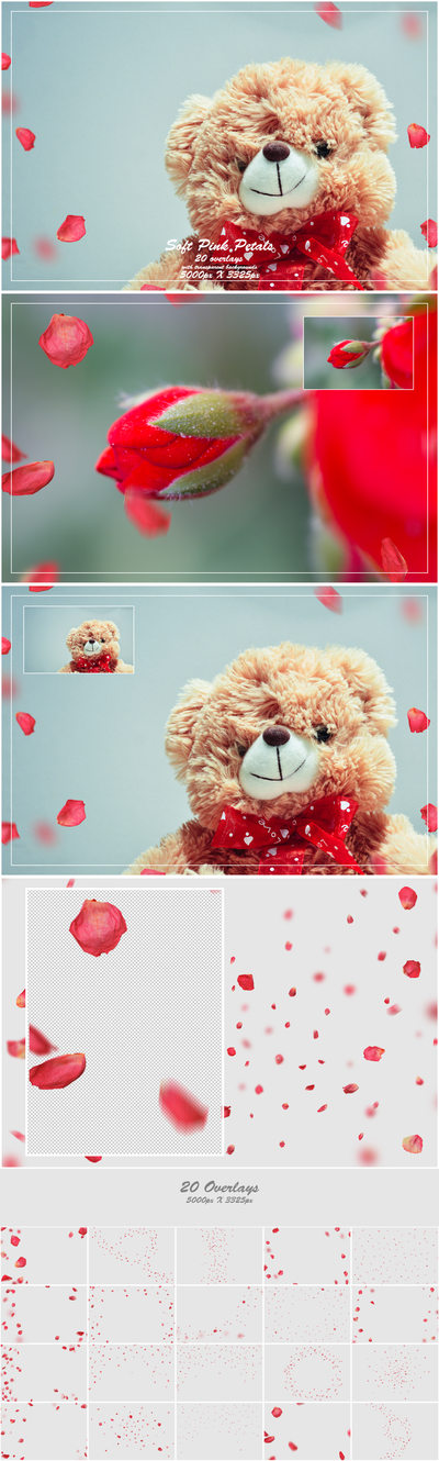 1000+ Petals and Leaves Overlays Bundle - Artixty