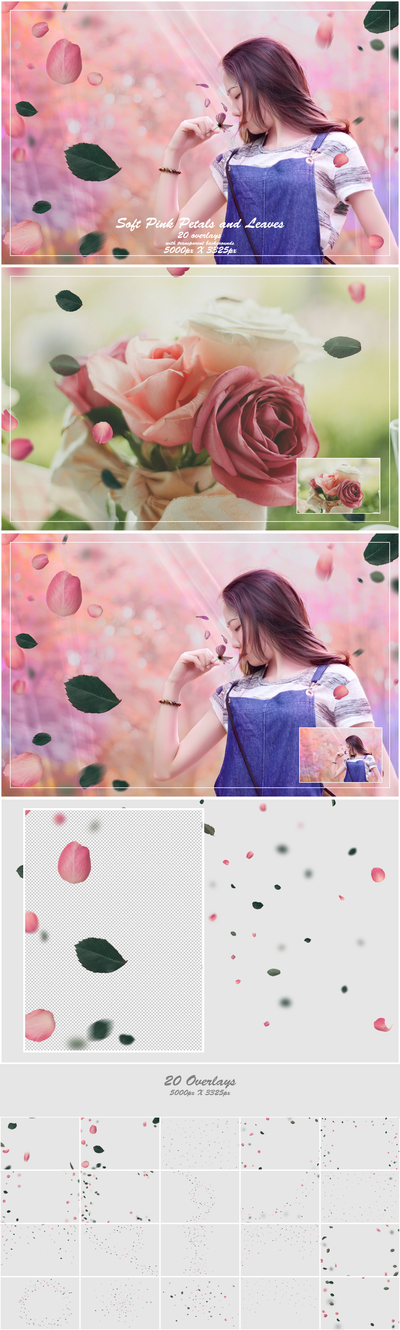 1000+ Petals and Leaves Overlays Bundle - Artixty