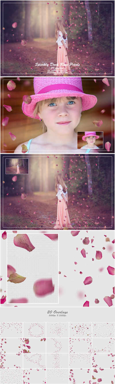1000+ Petals and Leaves Overlays Bundle - Artixty