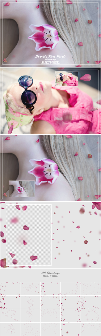 1000+ Petals and Leaves Overlays Bundle - Artixty