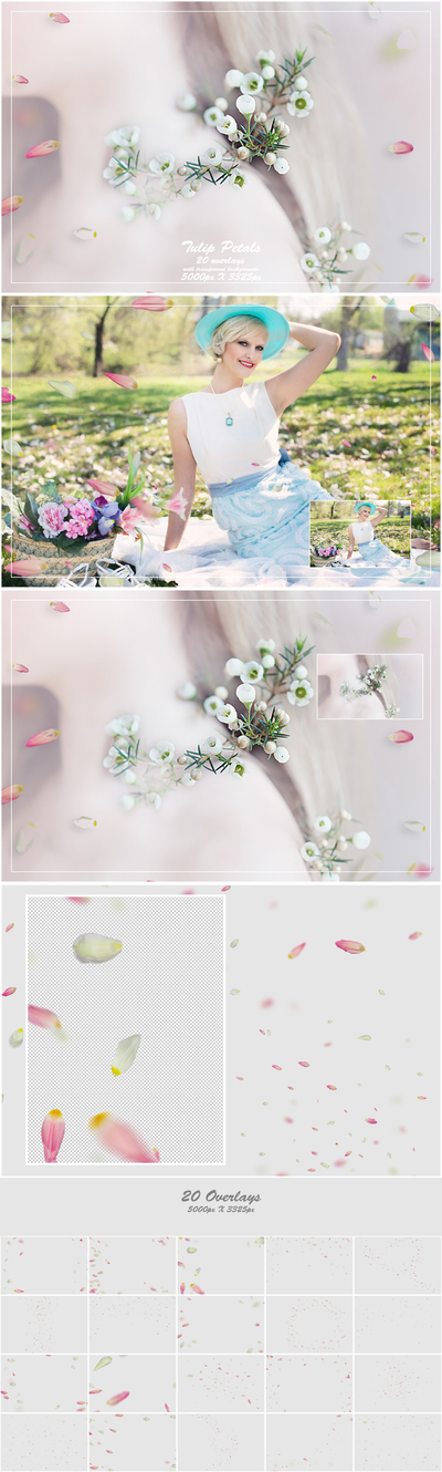 1000+ Petals and Leaves Overlays Bundle - Artixty