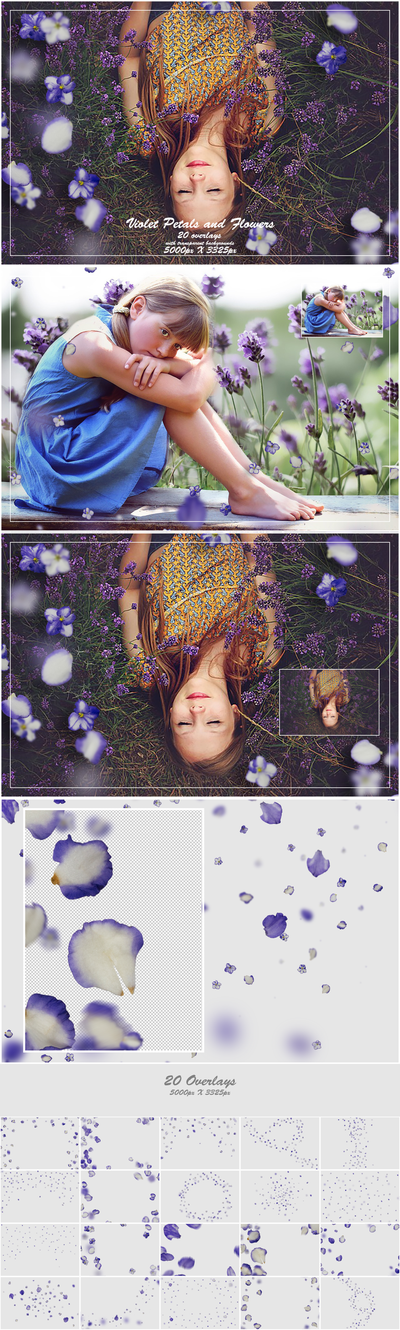 1000+ Petals and Leaves Overlays Bundle - Artixty