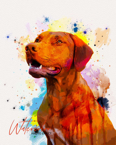 30 Custom Watercolor Pet Portrait Photo Effects Bundle - Artixty
