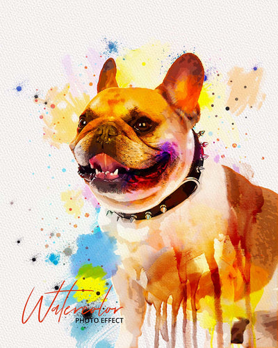 30 Custom Watercolor Pet Portrait Photo Effects Bundle - Artixty