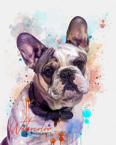 30 Custom Watercolor Pet Portrait Photo Effects Bundle - Artixty