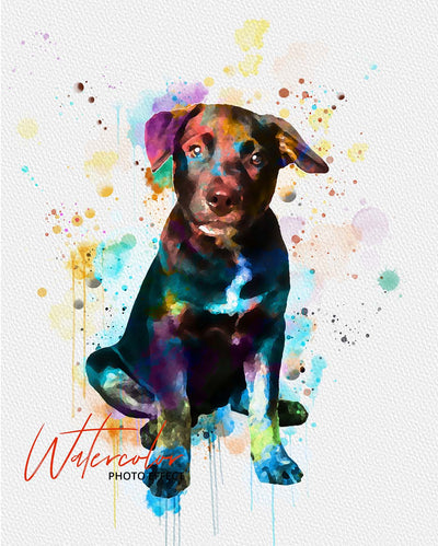 30 Custom Watercolor Pet Portrait Photo Effects Bundle - Artixty