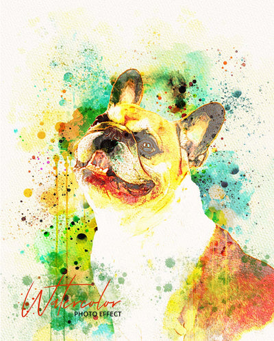 30 Custom Watercolor Pet Portrait Photo Effects Bundle - Artixty