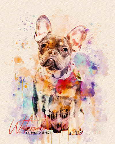 30 Custom Watercolor Pet Portrait Photo Effects Bundle - Artixty