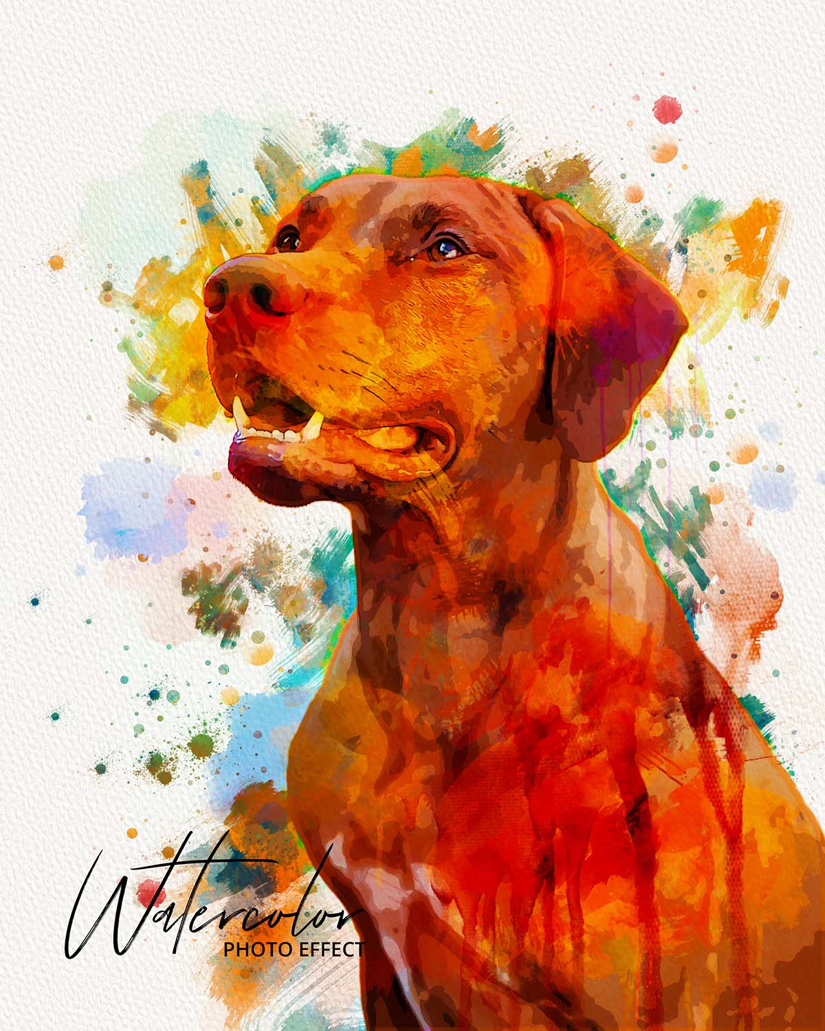 30 Custom Watercolor Pet Portrait Photo Effects Bundle - Artixty